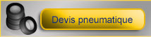 Devis pneumatique